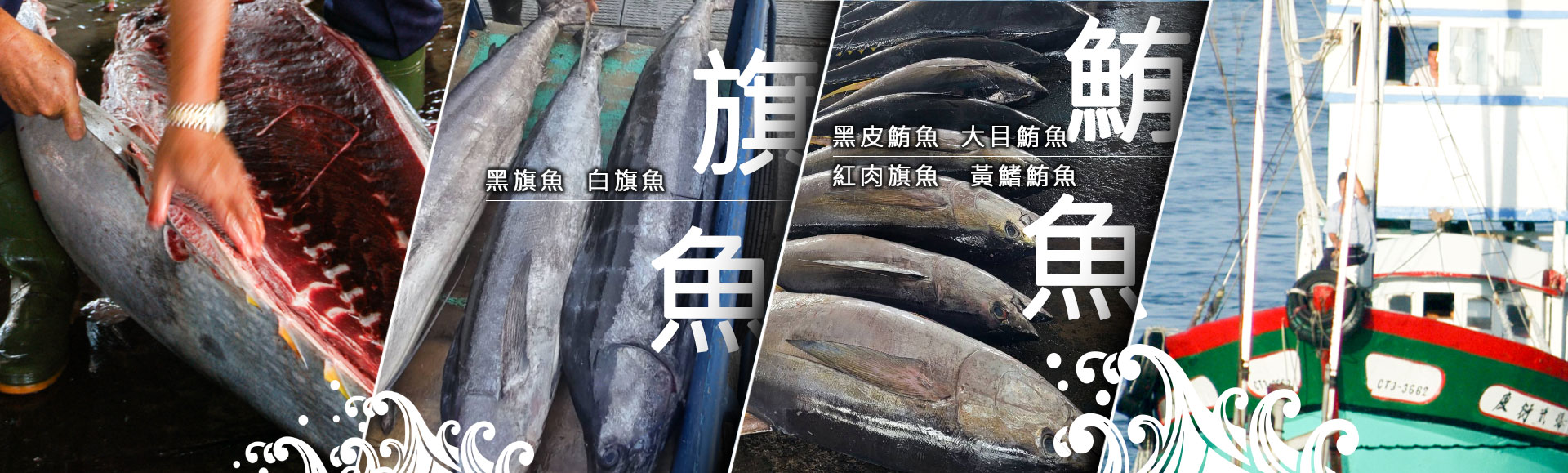 提供黑鮪魚、鮪魚及旗魚批發